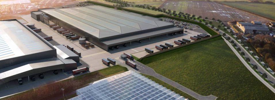 How-G, Yorkshire – DPP